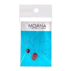 專用火山石 (2pcs)