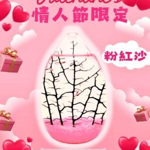 【情人節限定】蛋型生態球 (6夏威夷小蝦)